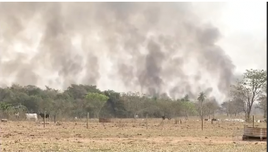 Incêndio em reserva ambiental em SP