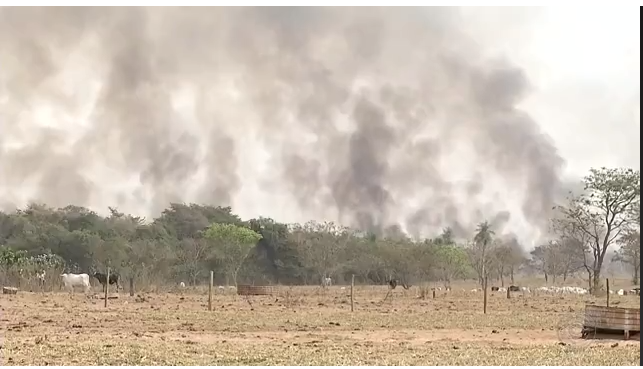 Incêndio em reserva ambiental em SP