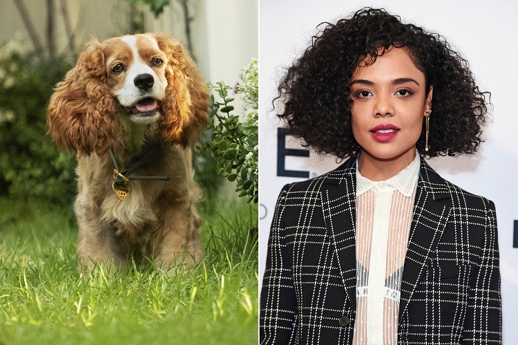 Elenco de novo 'A Dama e o Vagabundo' tem Tessa Thompson e Justin