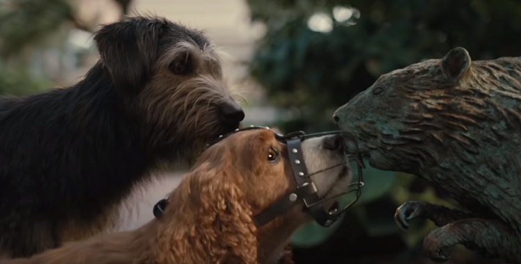 Veja os cães do live-action de 'A Dama e o Vagabundo