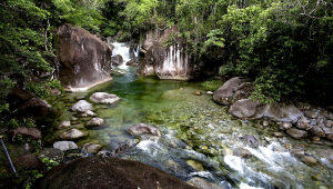 Guia de trilhas no Litoral Norte: praias e cachoeiras secretas