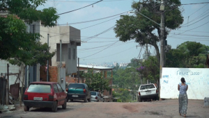 Favela verde
