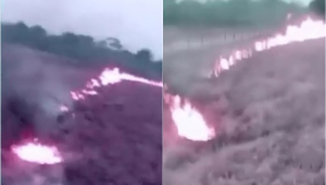 Pantanal: Vídeo de tratorista aumenta suspeita de queimadas criminosas; assista