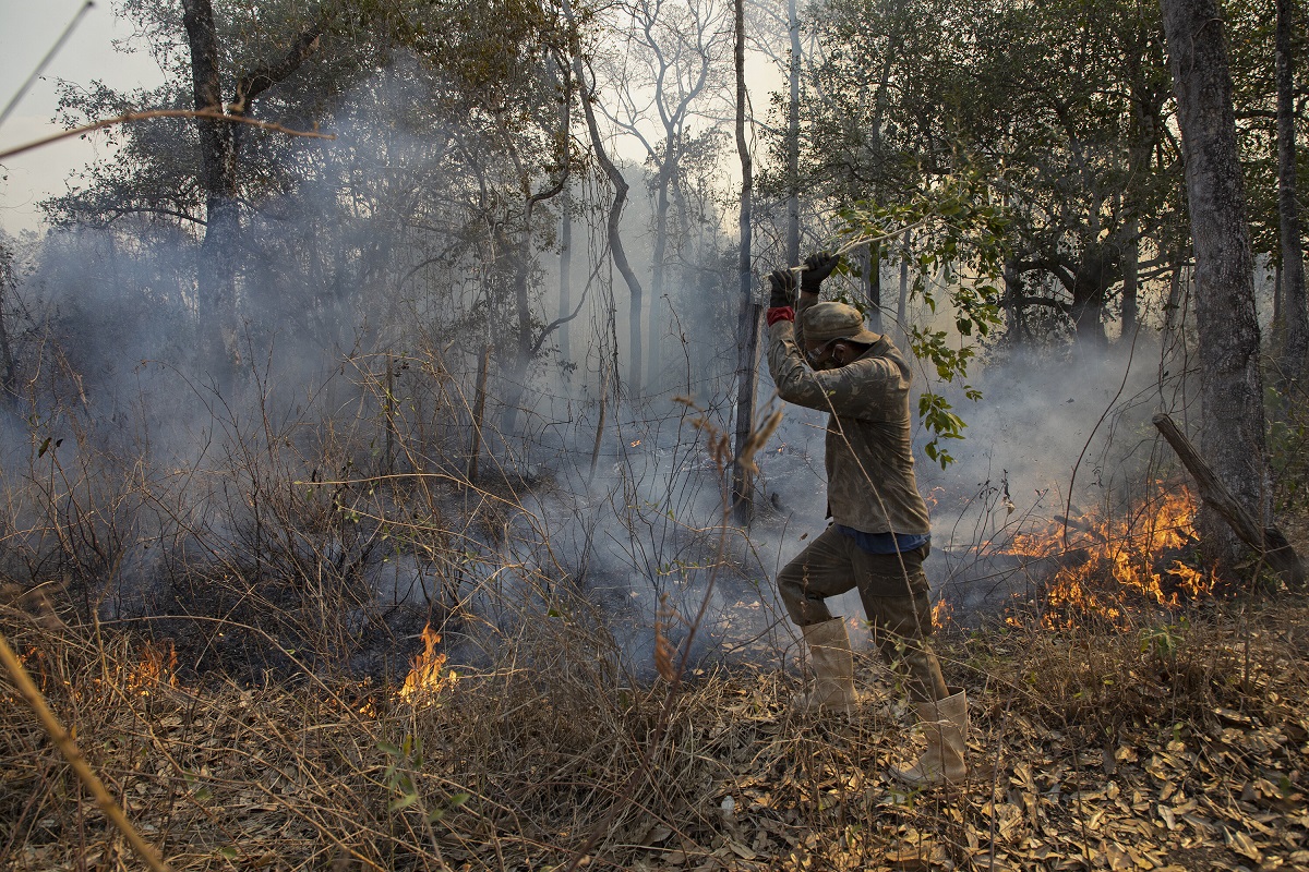 Homem tenta apagar foto no Pantanal