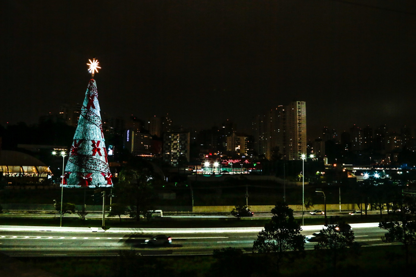Para pulverizar aglomeração, Parque Ibirapuera inaugura três árvores de  Natal | Jovem Pan