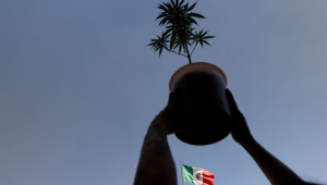 Em primeiro plano, duas mãos seguram um vaso com uma planta contra a luz; atrás, uma bandeira do México nas cores verde, branca e vermelha flamula sob um céu azul