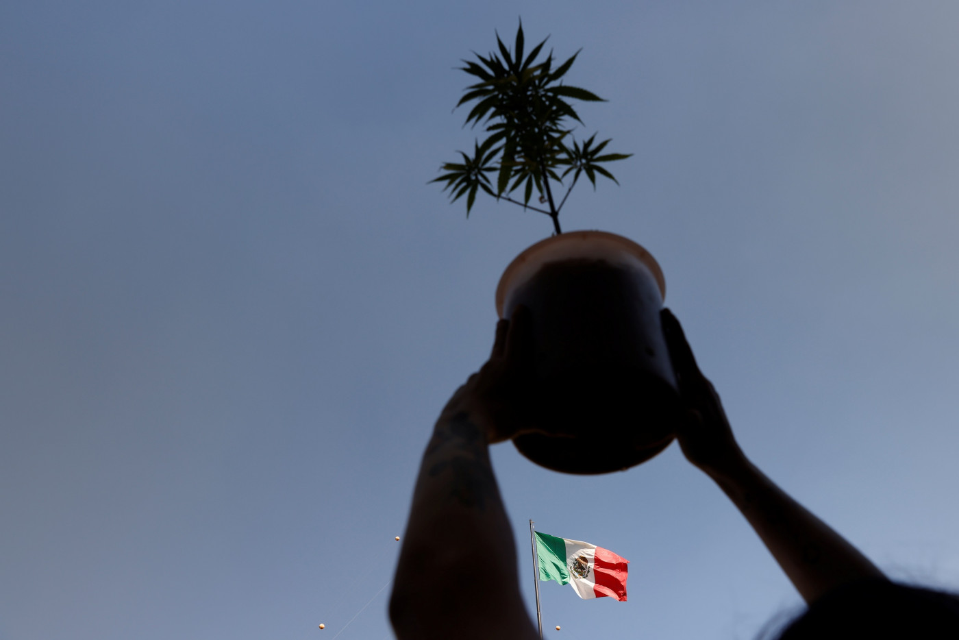 Em primeiro plano, duas mãos seguram um vaso com uma planta contra a luz; atrás, uma bandeira do México nas cores verde, branca e vermelha flamula sob um céu azul