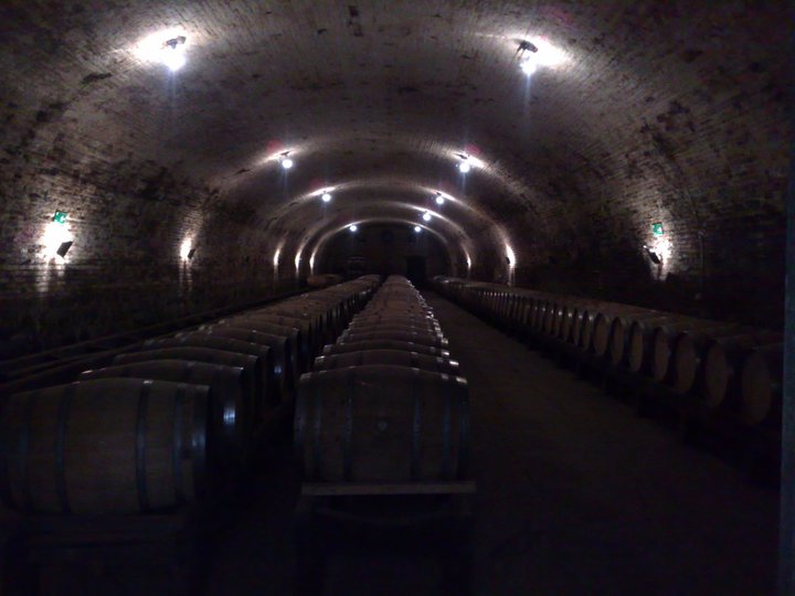 Adega armazena centenas de barris do vinho Jerez