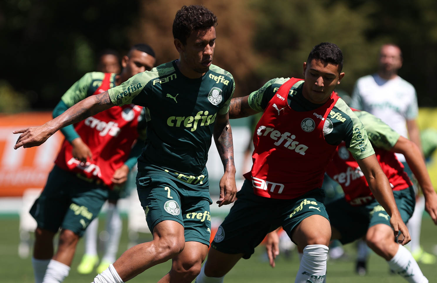 treinamento do Palmeiras para a Copa do Brasil