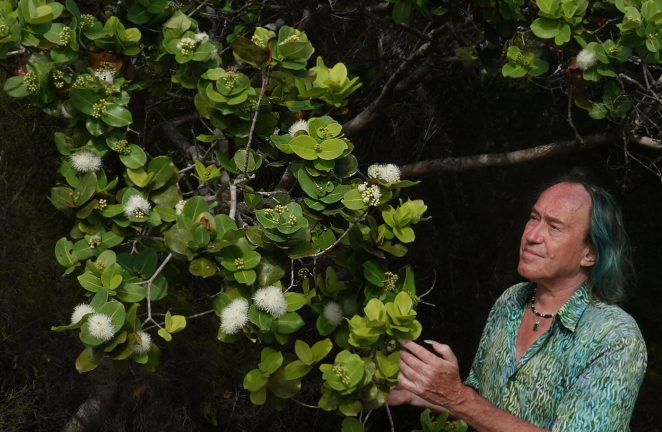 botânico e garden designer Patrick Blanc aprecia vegetação na Tanzânia