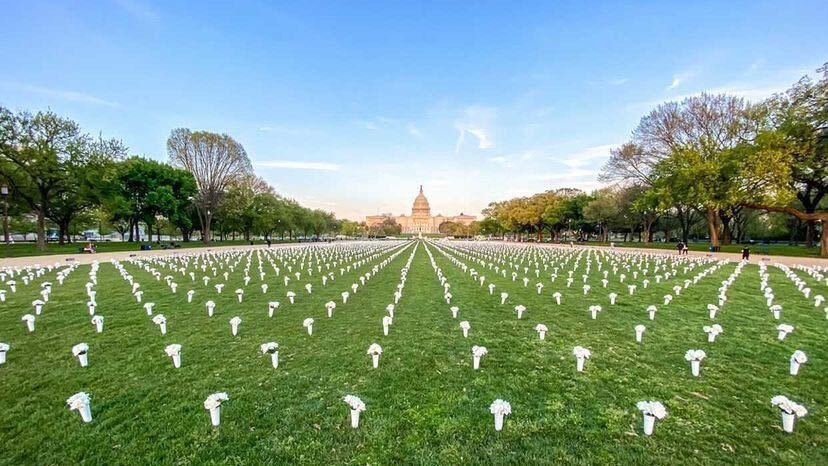National Mall em Washington D.C. é coberto de rosas brancas em homenagem às vítimas da violência armada