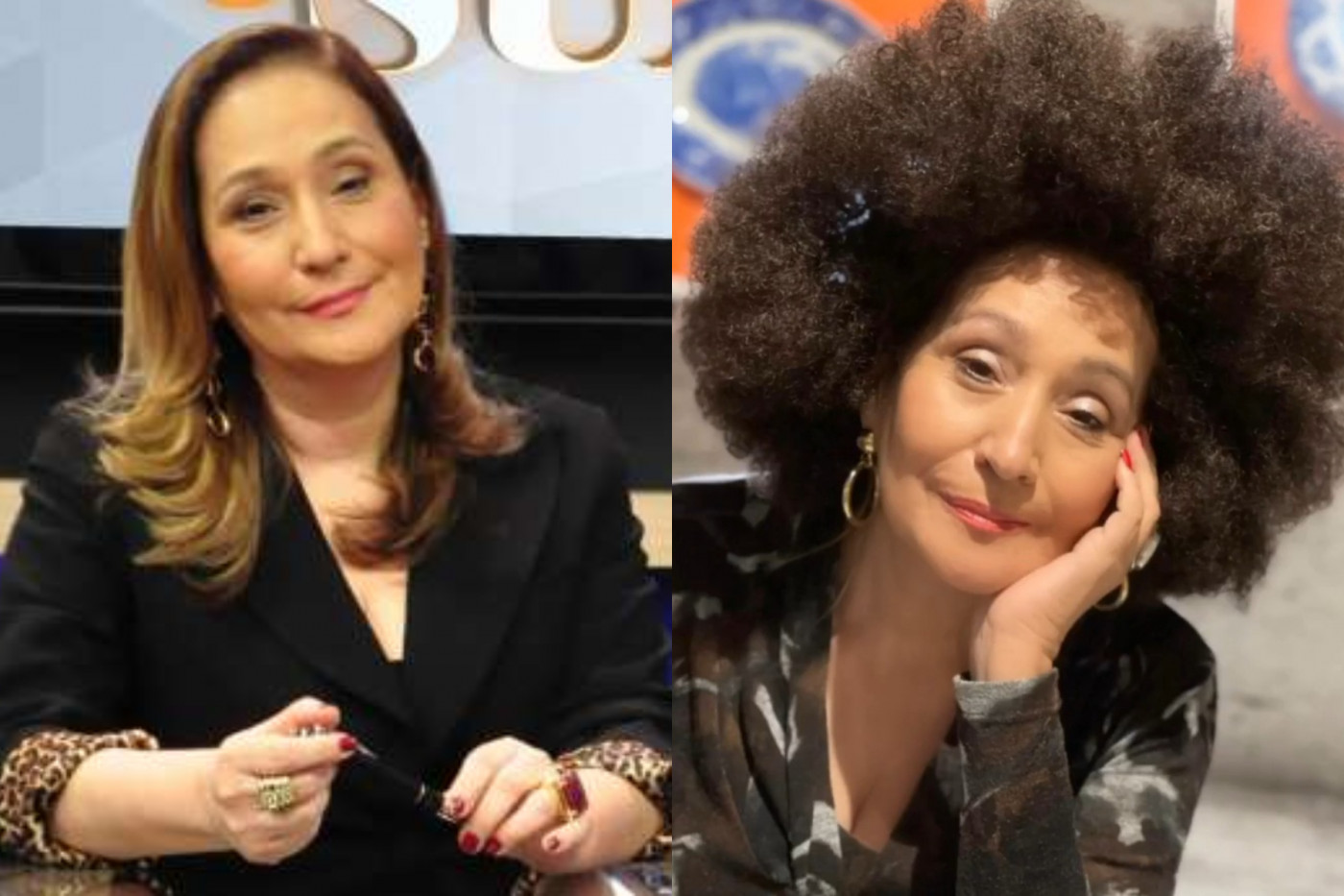 Fotos da apresentadora Sonia Abrão de cabelo liso e usando uma peruca black power