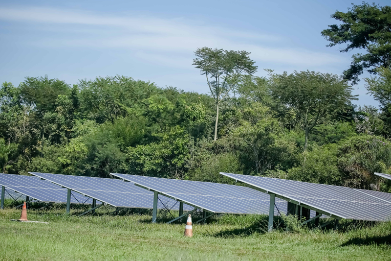 Placas de energia solar na fazenda solar da Johnson & Johnsons na América do Sul, localizada em São José dos Campos