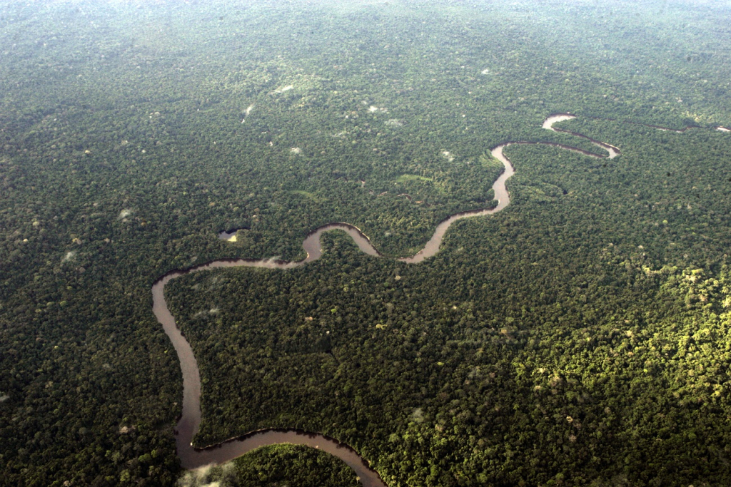 CPI das ONGs na Amazônia define colegiado e é instalada no Senado - Jovem Pan