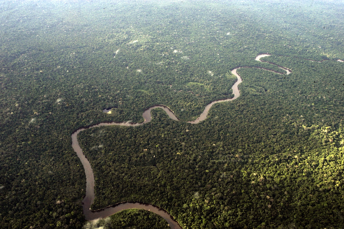 Foto de cima da Floresta Amazônica. Muitas árvores e um rio cortando.