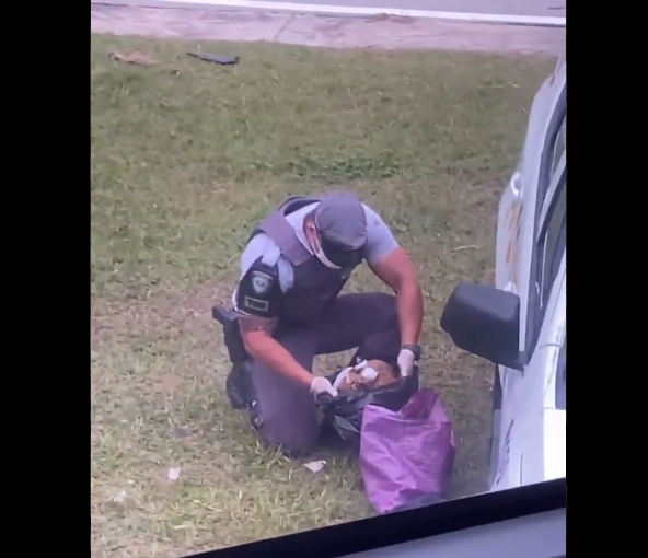 Policial civil revista bagagem de mão de passageiro com um crânio humano