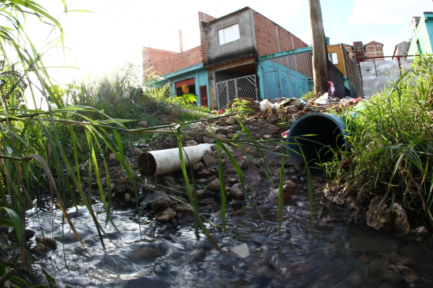 Cano com esgoto a céu aberto no meio de folhagens. Casas feitas de tijolos atrás. Falta de saneamento básico em bairro de Guarulhos