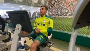 Dudu está de volta ao Palmeiras