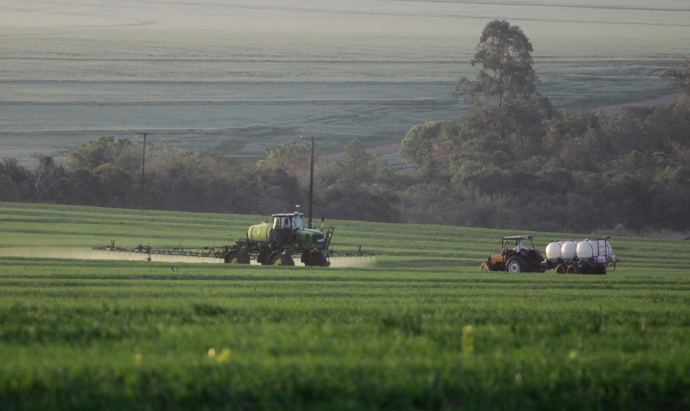 Em um vasto de terreno de plantação de trigo, dois tratores circulam aplicando herbicida
