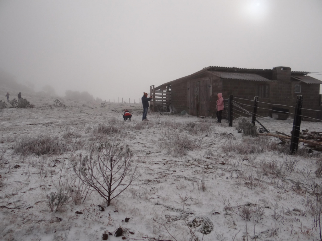 A cidade de Urupema (SC) registrou queda de neve nesta quarta-feira