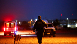 Policial da imigração faz buscas com cão farejador na fronteira entre México e Estados Unidos
