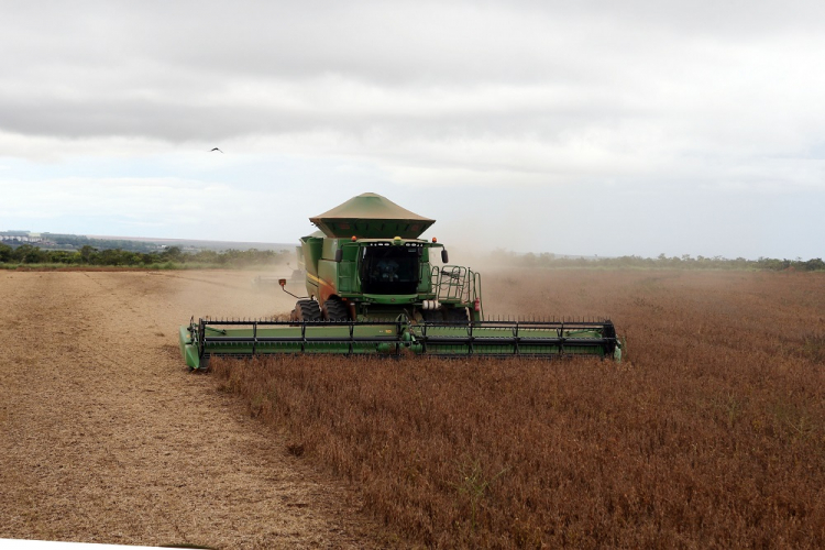 CNA elabora proposta de apoio para produtores afetados pelo El Niño