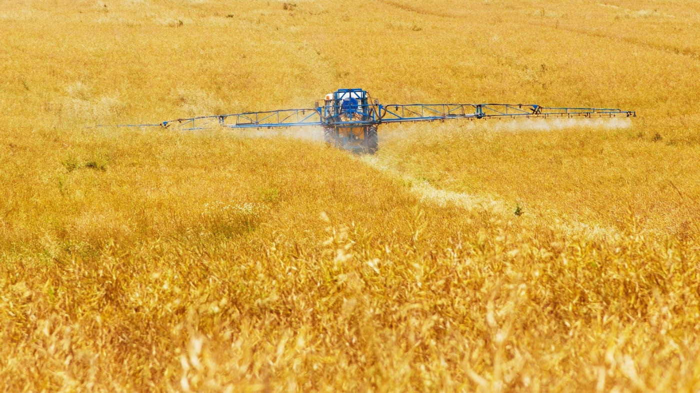 Máquina jogando produto em uma plantação amarela