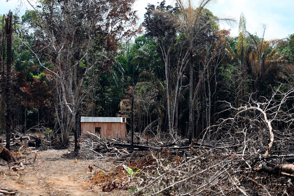 Desmatamento e queimada às margens da rodovia BR-319, em Humaitá, na Amazônia