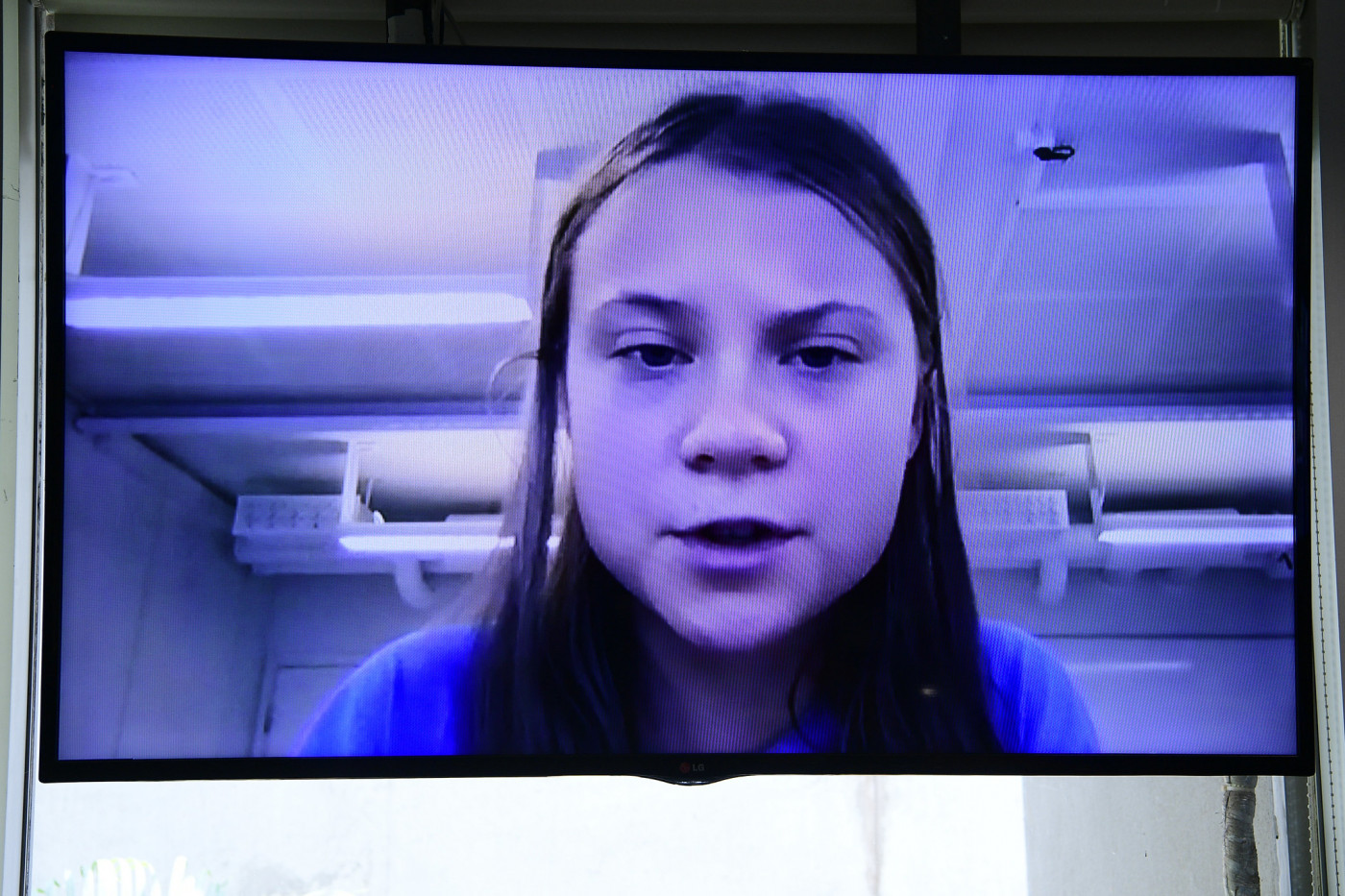 Greta Thunberg participa de audiência remota no Senado Federal
