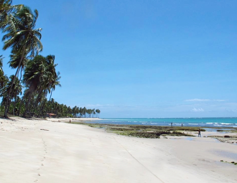 foto de praia no litoral sul de pernambuco