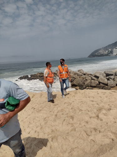 Baleia encontrada morta na praia do Leblon