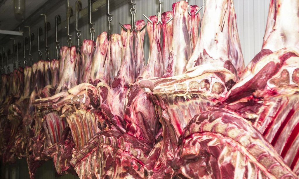 Especialistas avaliam que impacto de suspensão das exportações de carne por vaca louca será contornado