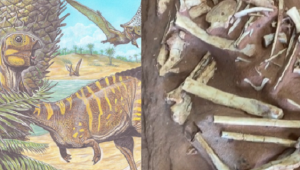 Dinossauro Brasileiro