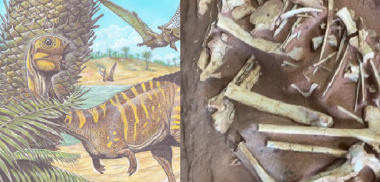 Dinossauro Brasileiro