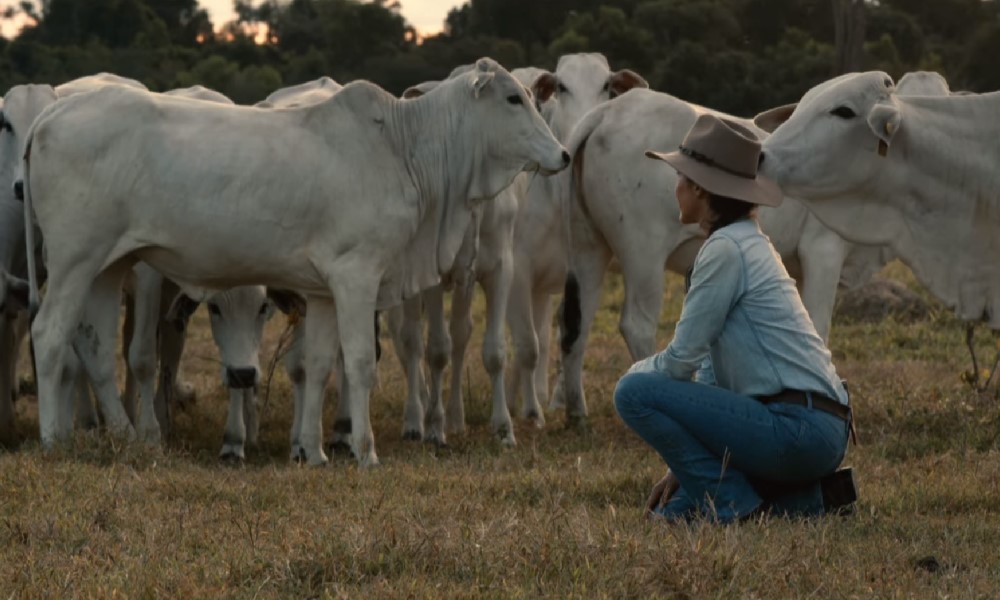 Cena do documentário 'Quando Ouvi a Voz da Terra' com a fazendeira Carmen Perez agachada próxima a seu rebanho