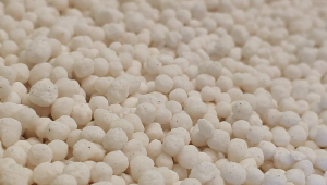 Imagem composta por pequenas bolinhas brancas, que nada mais é do que fertilizante nitrogenado granulado