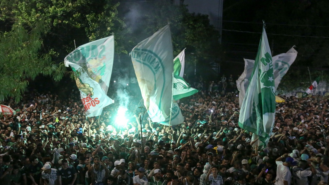 Flamenguistas festejam nas redes sociais a derrota do Palmeiras - Fala  Comunidade