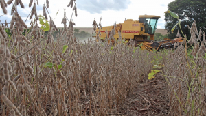 produtores rurais de Campo Mourão, na Região Centro-Oeste do Paraná, estão aplicando fungicidas para controlar a ferrugem asiática, comum após o período de chuvas e altas temperaturas