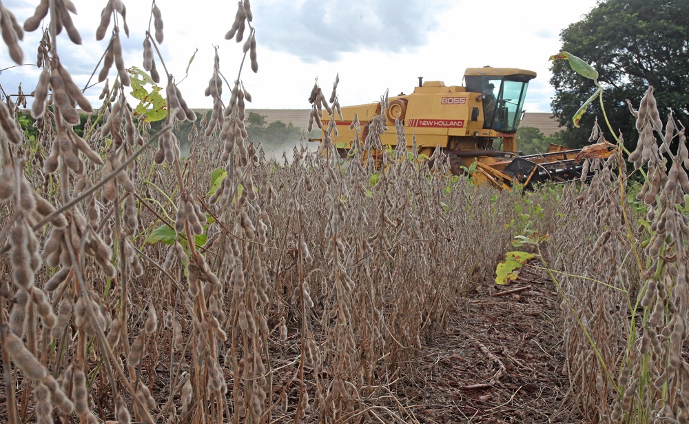 produtores rurais de Campo Mourão, na Região Centro-Oeste do Paraná, estão aplicando fungicidas para controlar a ferrugem asiática, comum após o período de chuvas e altas temperaturas