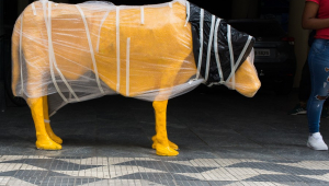 A escultura de uma vaca magra amarela envolta de plástico após ser retirada da frente da Bolsa de Valores