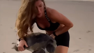 Mulher loira em trajes esportivos pretos segura uma tartaruga, que mexe as patas