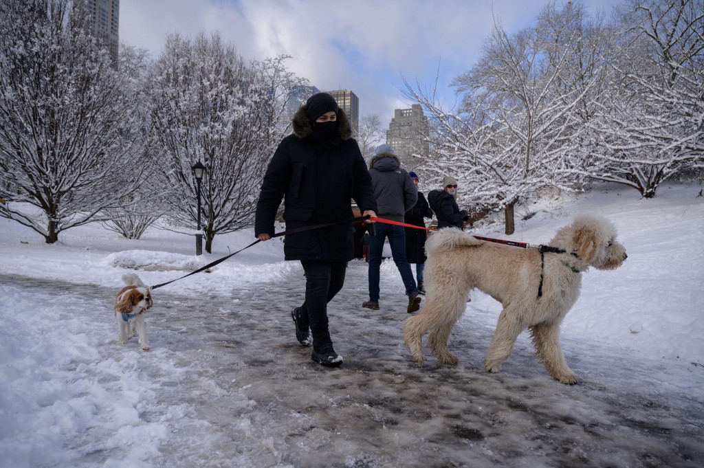 Pessoa levando cachorro para passear no meio da neve em nova york