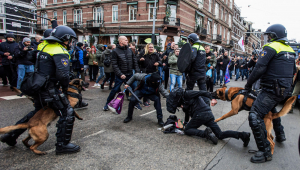 polícia usando cachorros contra manifestantes na holanda