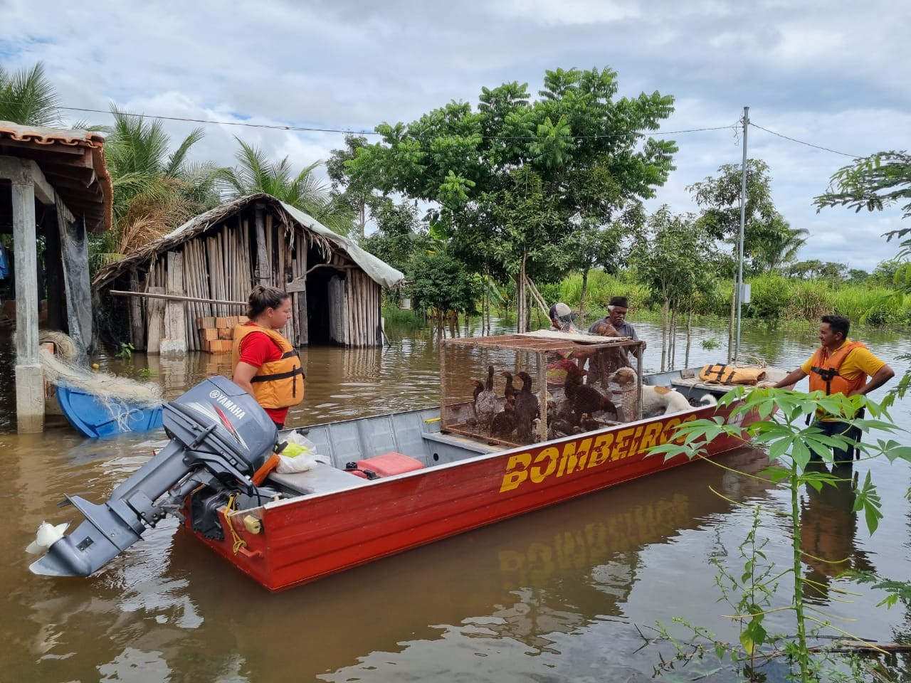 Bombeiros socorrendo animais e vítimas das enchentes em Tocantins