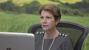 A ministra Tereza Cristina em frente a uma tela de computador em seu gabinete no Ministério da Agricultura