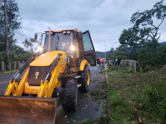 Retroescavadeira ajuda a tirar árvores que caíram após passagem de tornado em Timbó (SC)