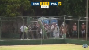 torcida do Palmeiras causa briga em jogo