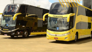 Dois ônibus da Viação Itapemirim, sendo um na cor amarelo e outro na cor preta