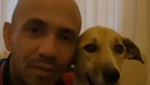 Vídeo de cachorra com seu tutor