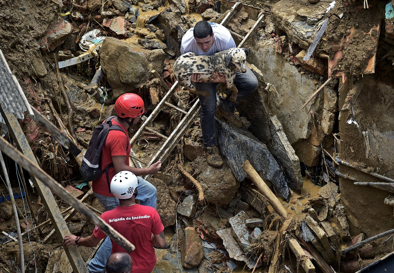 Cachorro sendo salvo por um civil em destroços de deslizamento em Petrópolis